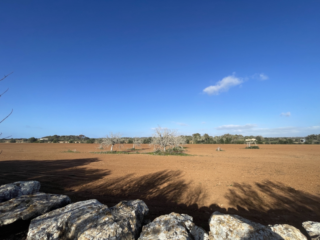 Finca Rustica – Unique in Mallorca – Opportunity for major projects